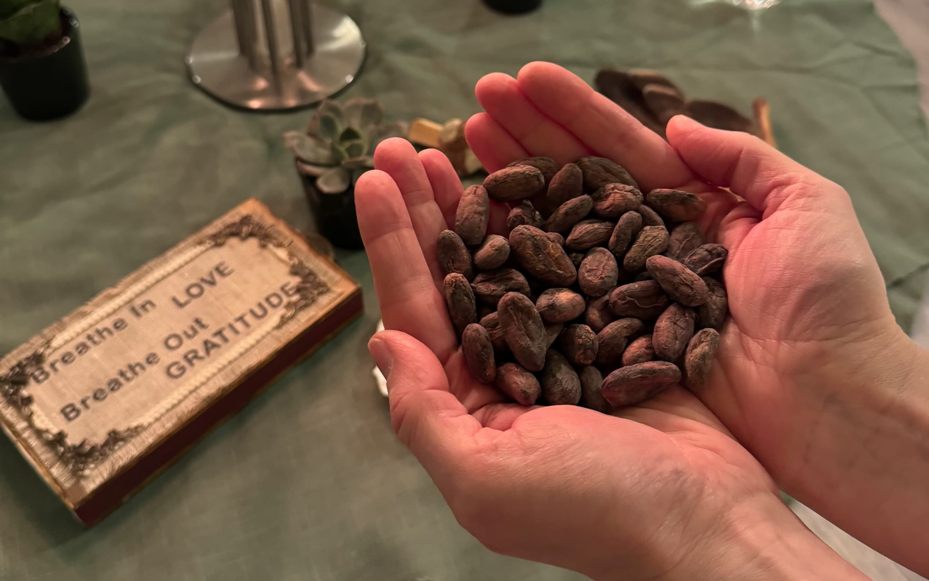 Close-up of a dandelion seed head with delicate white fibers against a blurred green background.